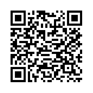 QR Code PDF